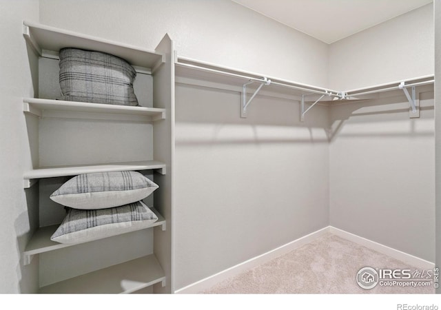spacious closet with carpet floors