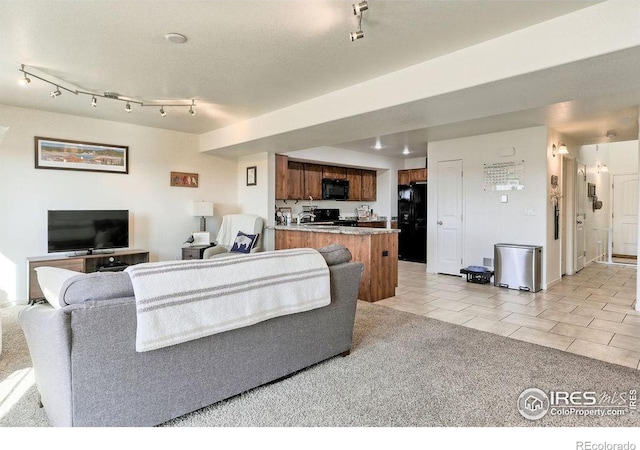 living area featuring light carpet, light tile patterned floors, and track lighting