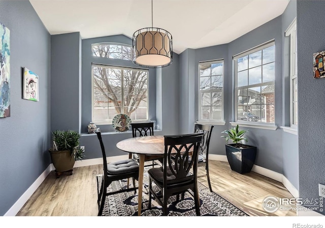 dining area with lofted ceiling, a wealth of natural light, and wood finished floors