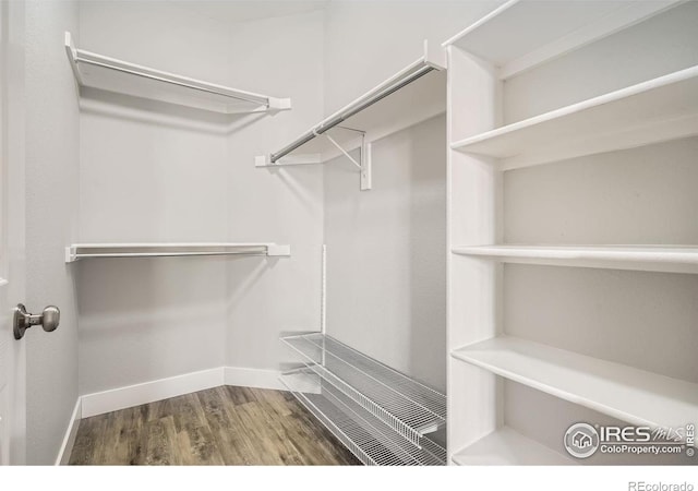 walk in closet with wood finished floors