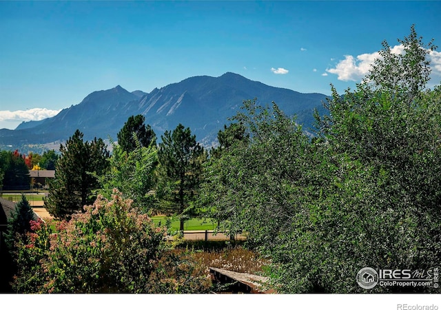 view of mountain feature