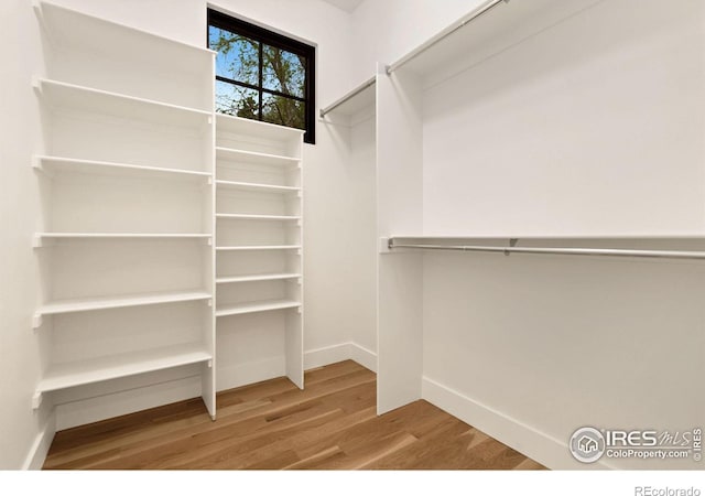 510 Wood St, Fort Collins, CO 80521 - walk in closet with wood finished floors