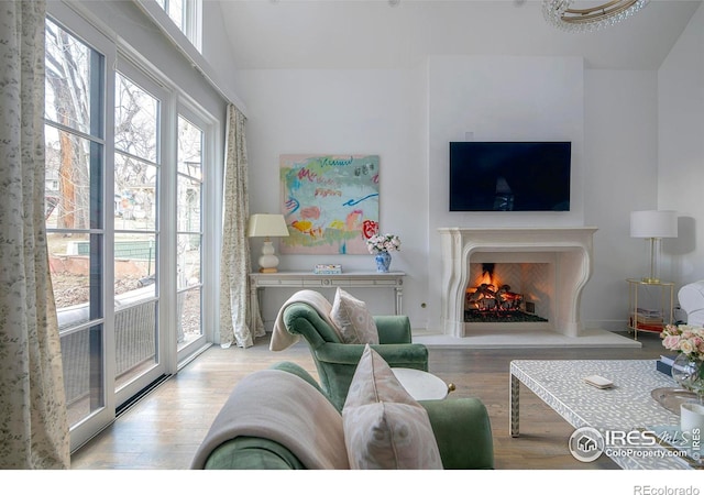 living area with lofted ceiling, a premium fireplace, and wood finished floors