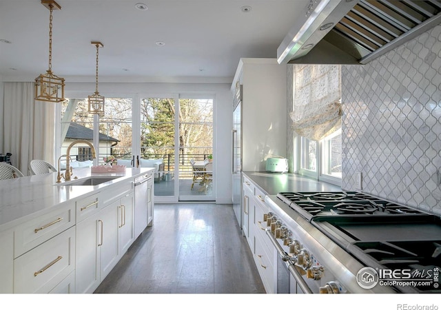 kitchen featuring a sink, a healthy amount of sunlight, high end stove, and under cabinet range hood