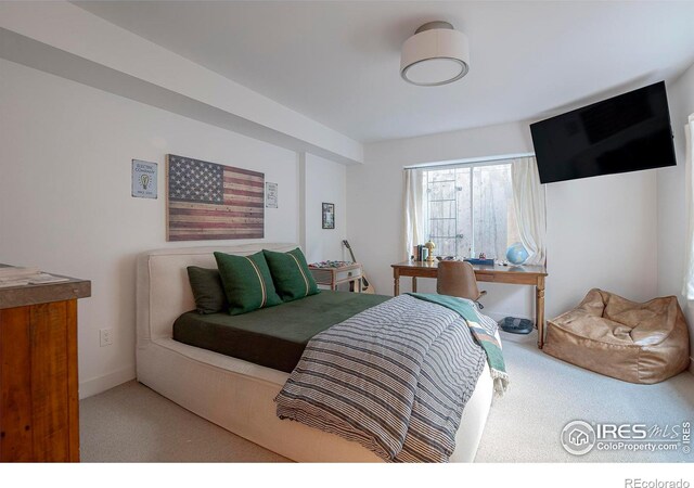 bedroom featuring carpet floors