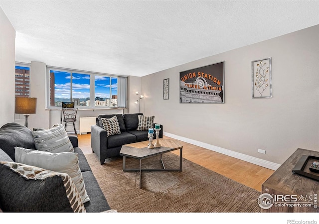 living room featuring a textured ceiling, baseboards, and wood finished floors