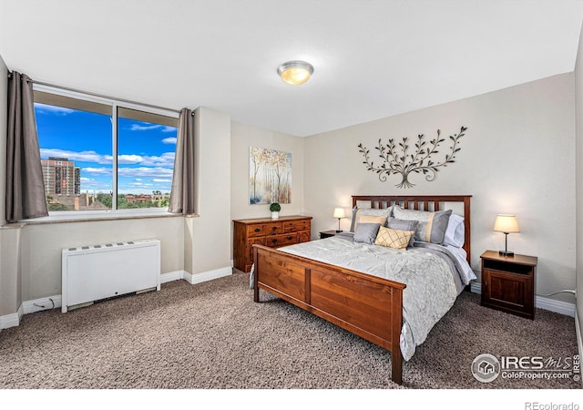 bedroom featuring radiator heating unit, carpet, and baseboards