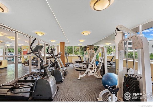 exercise room featuring expansive windows