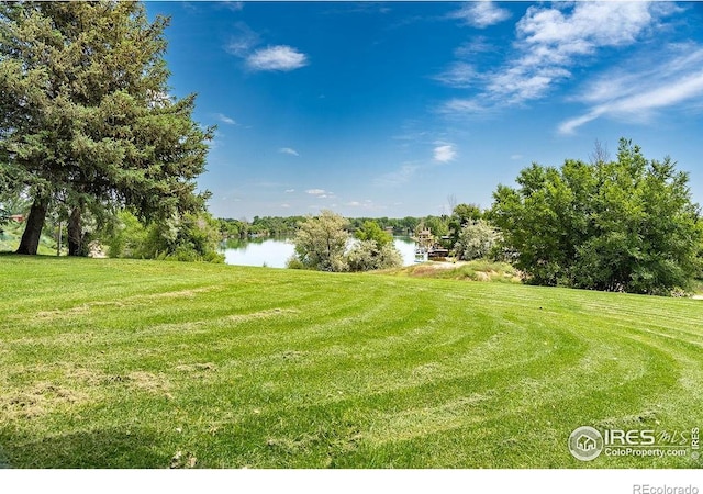 727 E 27th St, Greeley, CO 80631 - photo 4