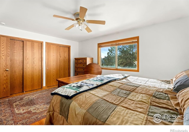 bedroom with wood finished floors, a ceiling fan, and multiple closets