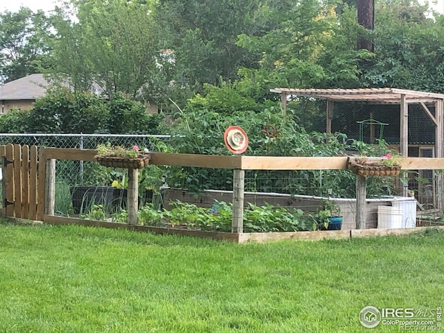 view of yard with a garden