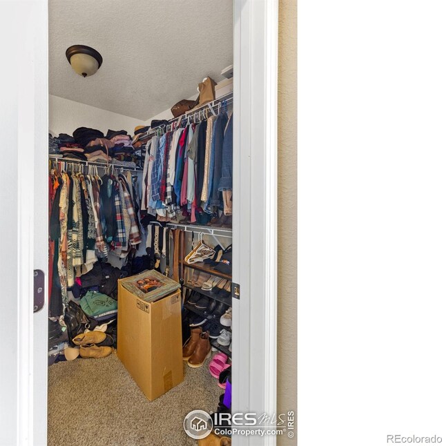 walk in closet with carpet flooring