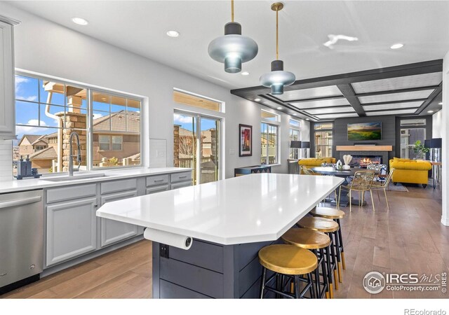 kitchen featuring stainless steel dishwasher, light countertops, light wood-style floors, and a sink