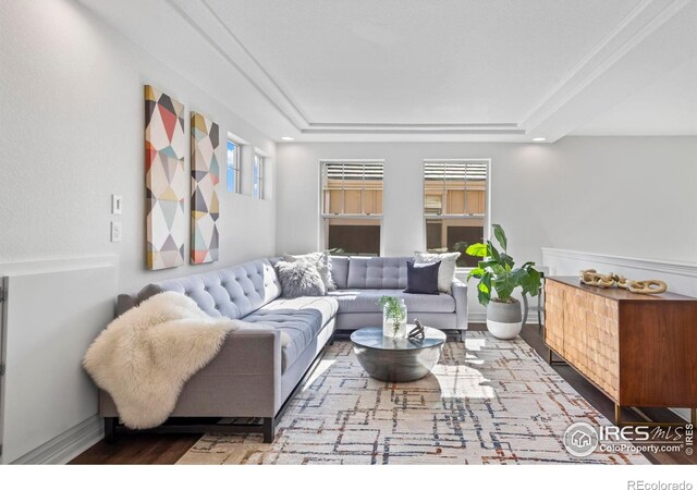 living room featuring wood finished floors