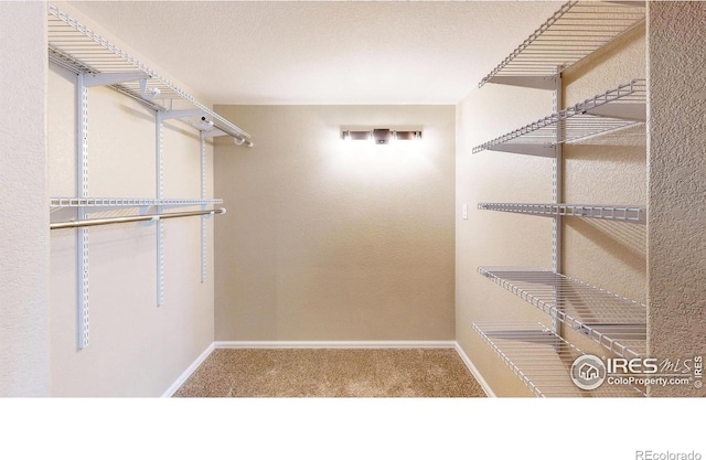 walk in closet featuring carpet