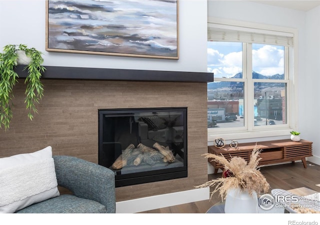 details with wood finished floors and a glass covered fireplace