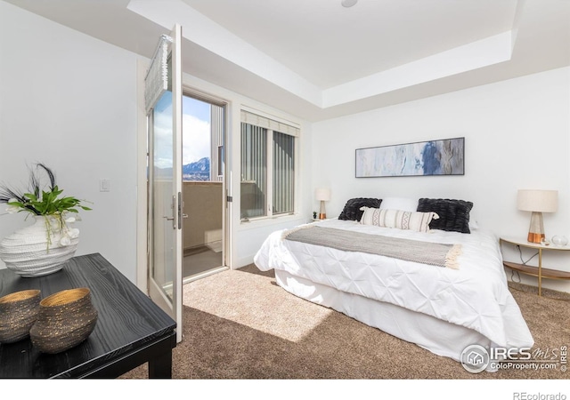 bedroom with a raised ceiling and carpet flooring