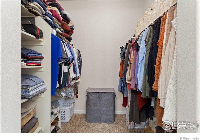 walk in closet featuring carpet flooring