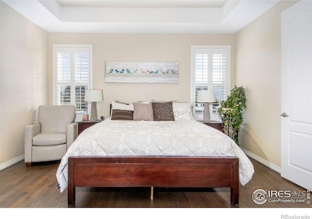 bedroom with a tray ceiling, multiple windows, and wood finished floors