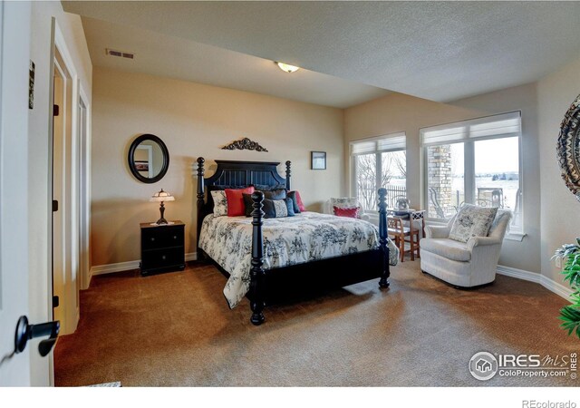 bedroom featuring carpet floors, visible vents, and baseboards