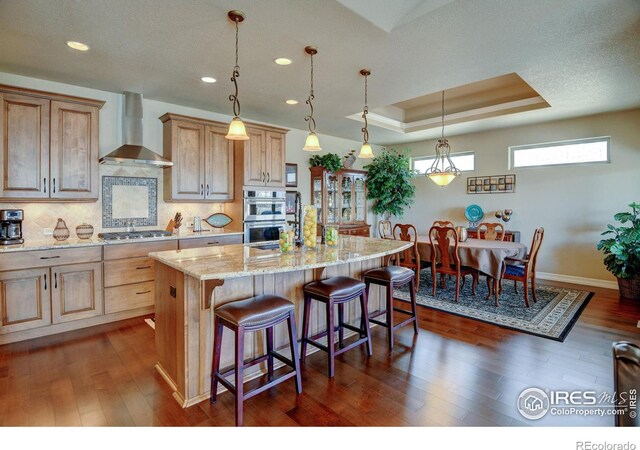 kitchen featuring stainless steel appliances, dark wood-style flooring, a raised ceiling, and wall chimney exhaust hood