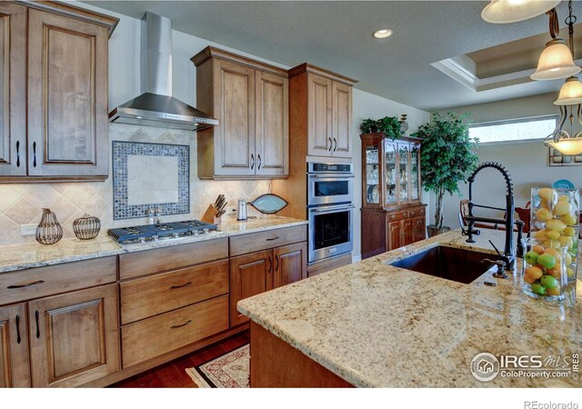 kitchen featuring wall chimney exhaust hood, dark wood-type flooring, a tray ceiling, stainless steel appliances, and a sink