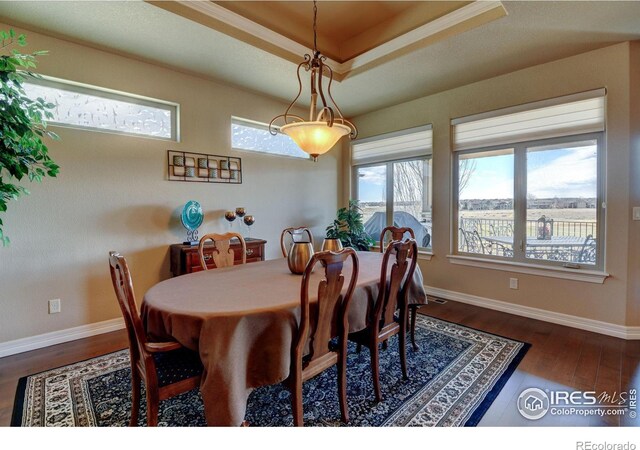 dining room with dark wood-style floors, baseboards, and a raised ceiling