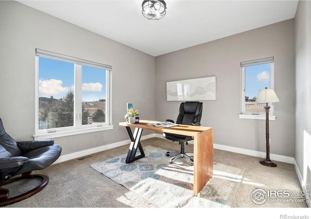 office with carpet floors, visible vents, and baseboards