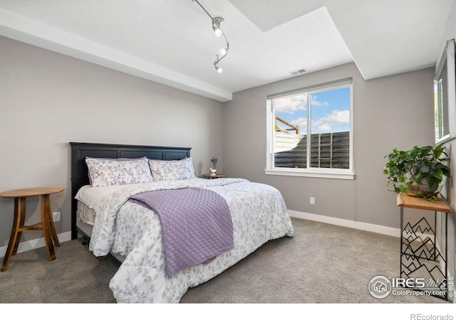 carpeted bedroom with track lighting, visible vents, and baseboards