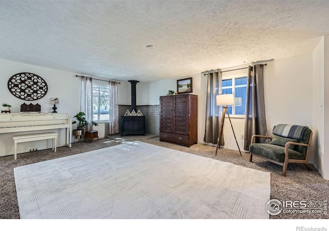 living area featuring a wood stove, carpet floors, and a textured ceiling