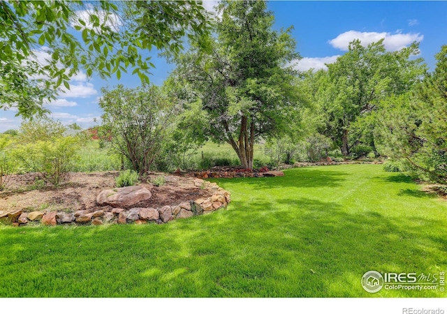 1866 Park Lake Dr, Boulder, CO 80301 - view of grassy yard