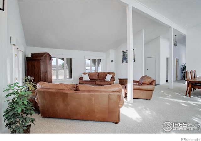 1866 Park Lake Dr, Boulder, CO 80301 - living room with carpet flooring and high vaulted ceiling