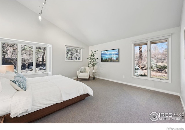 carpeted bedroom featuring high vaulted ceiling and baseboards