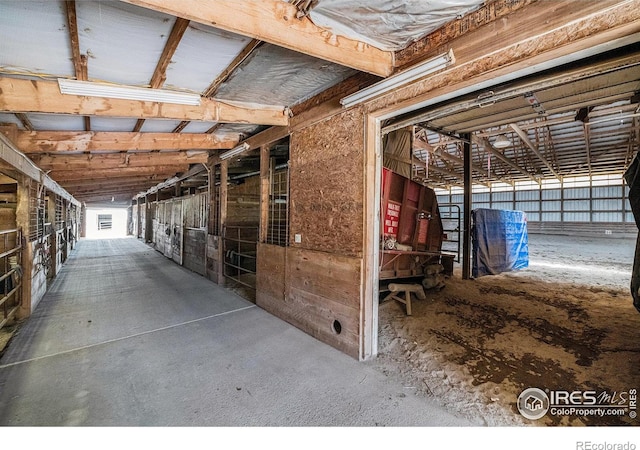 view of horse barn