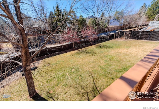 view of yard featuring a fenced backyard