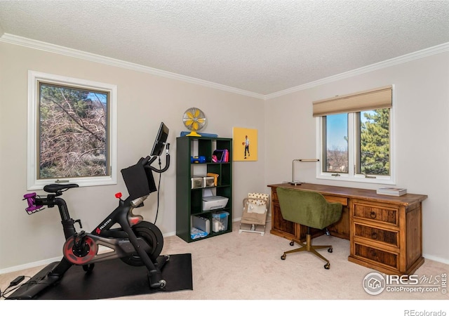 office area featuring a textured ceiling, carpet, and crown molding