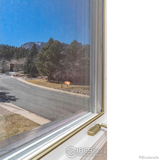 room details with a mountain view