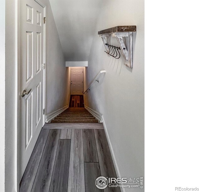 1004 Lucca Dr, Evans, CO 80620 - stairs with wood finished floors and baseboards