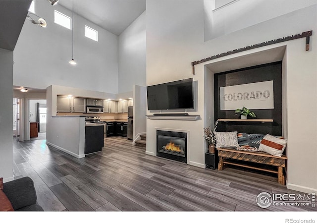 1004 Lucca Dr, Evans, CO 80620 - living area featuring dark wood-style flooring, baseboards, and a glass covered fireplace