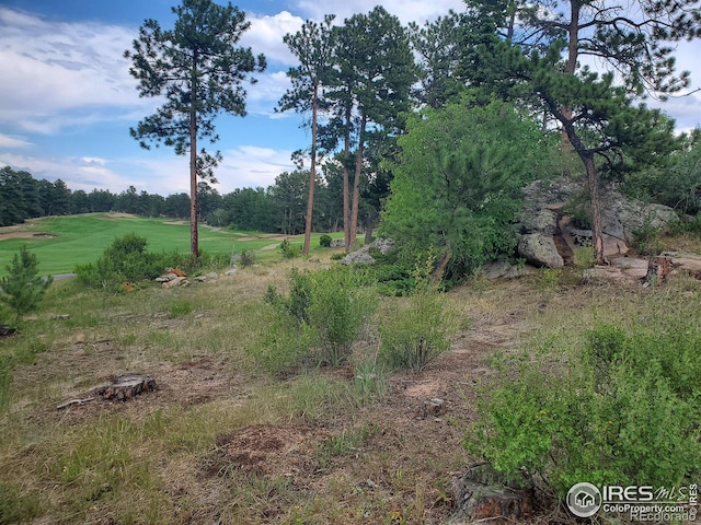 1532 Fox Acres Dr W, Red Feather Lakes CO, 80545 land for sale