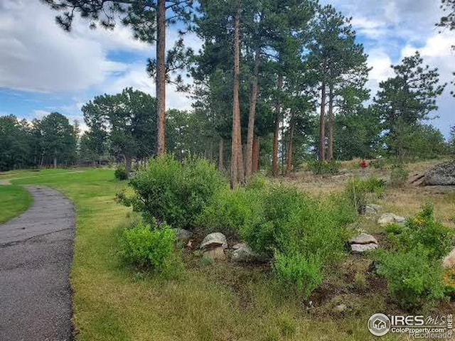 Listing photo 3 for 1532 Fox Acres Dr W, Red Feather Lakes CO 80545