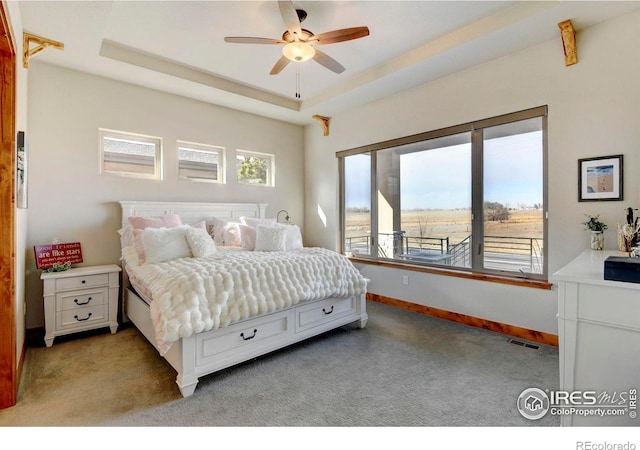 6940 Summerwind Ct, Timnath, CO 80547 - photo 17