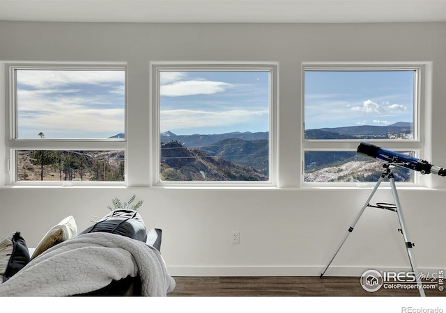 interior space featuring a mountain view, baseboards, and wood finished floors