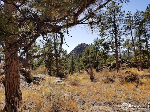 view of landscape featuring a wooded view and a mountain view