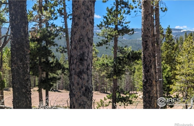 37 Shasta Way, Red Feather Lakes CO, 80545 land for sale