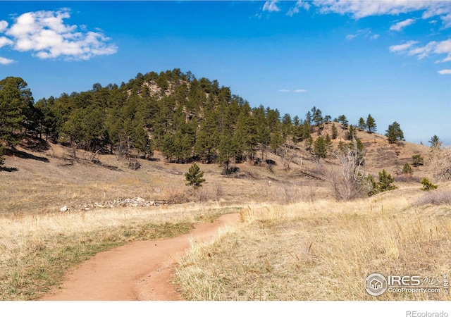 view of local wilderness