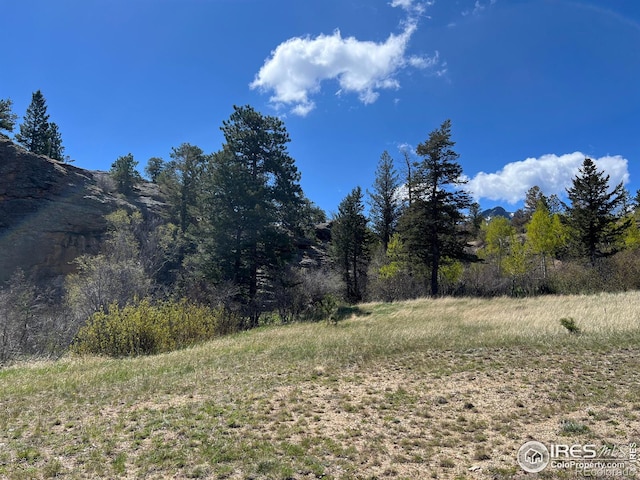 Listing photo 3 for 0 Kiowa Ct, Estes Park CO 80517