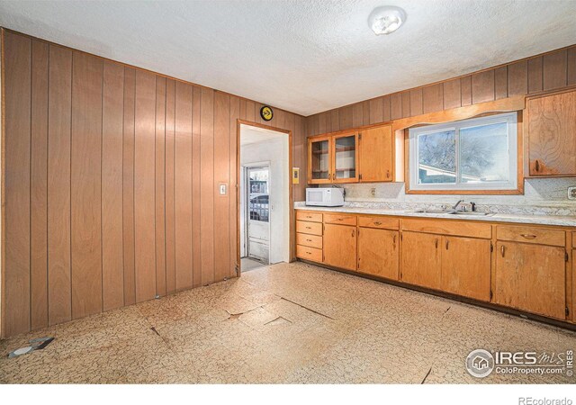 kitchen featuring a healthy amount of sunlight, light countertops, a sink, and white microwave