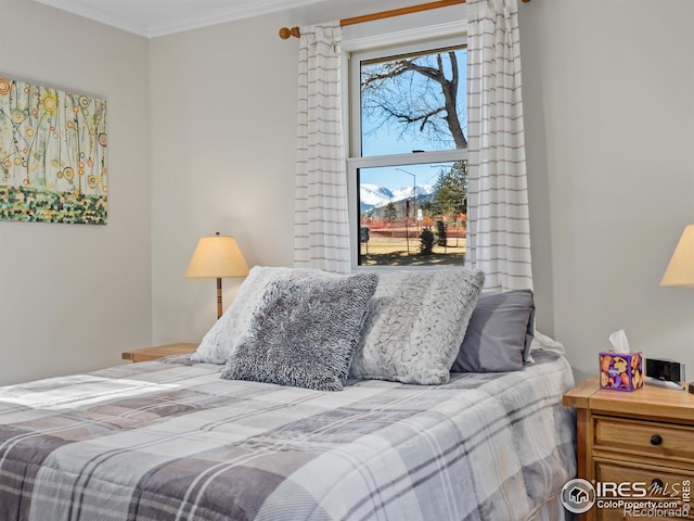 bedroom with ornamental molding