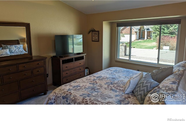 carpeted bedroom featuring access to exterior